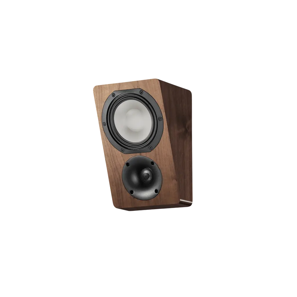 [04333] Canton AR 5 Walnut